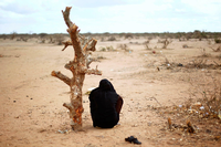 Eine Frau aus Somalia sitzt in der Nähe eines UNHCR Flüchtlingslagers in Dadaab (Kenia) an einem verdorrten Baum.