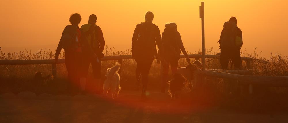 Eine Wandergruppe mit Hunden geht im Licht der aufgehenden Sonne auf dem Brocken.