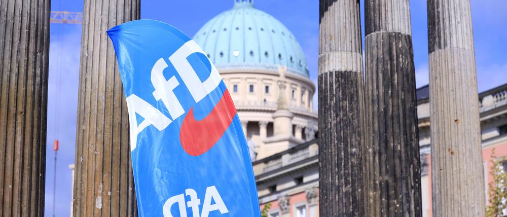 Aktuelle Wahlumfrage AfD ist jetzt stärkste Kraft in Brandenburg