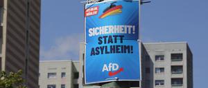 Wahlplakat AfD in Potsdam