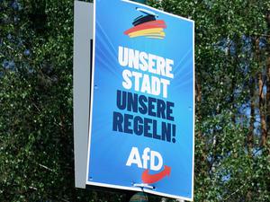 Wahlplakat der AfD in Borkwalde.