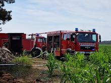 Zwei Hektar großes Feuer am Schwielowsee: Bisher größter Waldbrand der Saison in Brandenburg ausgebrochen