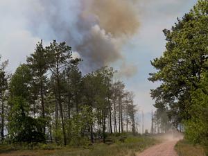 Ein Feuerwehrfahrzeug fährt durch einen Wald bei Jüterbog aus dem Rauchschwaden aufsteigen. Das Feuer in dem Wald hat sich wieder ausgebreitet.