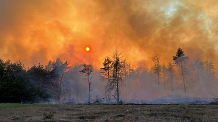 Lübtheen: Rauch und Flammen steigen in den Himmel aus einem Waldgebiet.