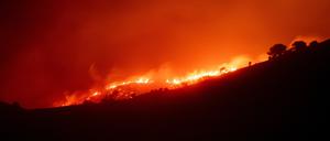 Waldbrand in den Gemeinden Colera und Portbou, nahe der Grenze zu Frankreich. 