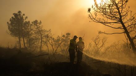 Feuerwehrleute versuchen einen Waldbrand in Beykoz, einem Vorort von Istanbul, zu löschen. 