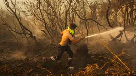 Das Feuer in Izmir ist nicht der erste Waldbrand in diesem Jahr in der Türkei. Hier kämpft ein Feuerwehrmann am 26.07.2023 gegen einen Waldbrand in Beykoz an, einem Vorort von Istanbul.