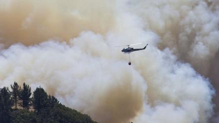 Waldbrände in Nordkalifornien