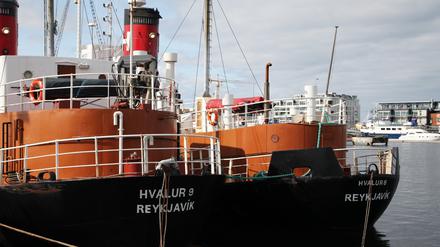 Walfangschiffe im Hafen von Reykjavik.