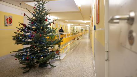 Ein Weihnachtsbaum steht auf dem Flur von einem Gefängnis.