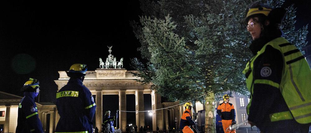 Mitarbeiter des THW stellen einen Weihnachtsbaum vor dem Brandenburger Tor auf. 