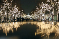 Die Weihnachtsbeleuchtung Unter den Linden ist normalerweise dezent weiß-gelb (Archivbild).
