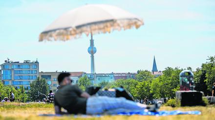 05.06.2022, Berlin: Ein Mann liegt im Mauerpark vor dem Berliner Fernsehturm unter einem Sonnenschirm. Foto: Christoph Soeder/dpa +++ dpa-Bildfunk +++