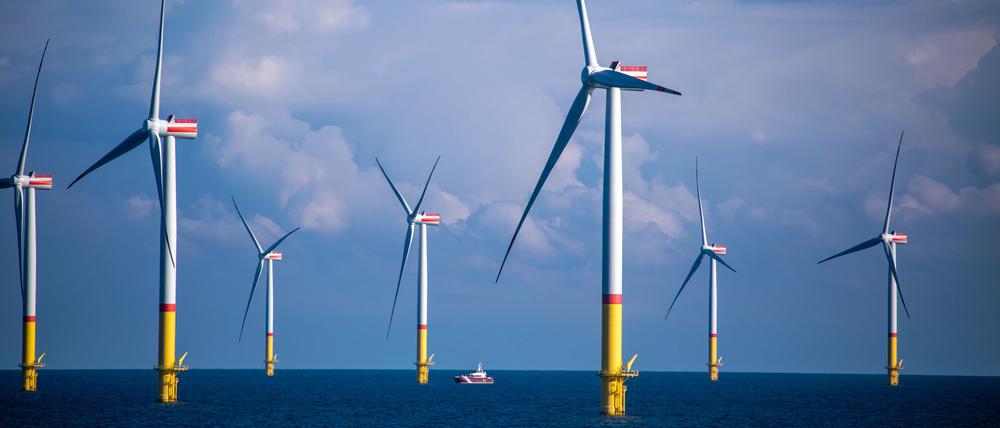 Am Mittwoch wurden Flächen für neue Offshore-Windparks versteigert. Zwischen den Inseln Rügen und Bornholm (Dänemark) stehen bereits Windräder.