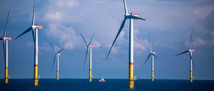 In Nordfrankreich soll bald ein Offshore-Windpark entstehen – doch das Thema polarisiert.