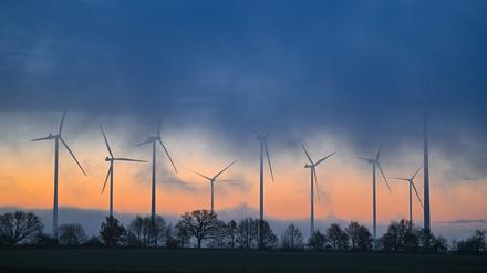 Ein Windenergiepark in Brandenburg