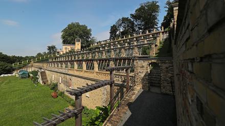 Der Winzerberg am Schlosspark Sanssouci wird am Samstag zur Kulisse für eine Irische Grafschaft im 19. Jahrhundert. 