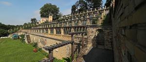 Der Winzerberg am Schlosspark Sanssouci wird am Samstag zur Kulisse für eine Irische Grafschaft im 19. Jahrhundert. 