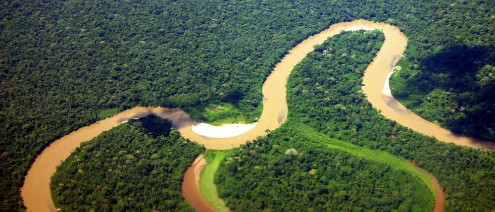 Ein Fluss schlängelt sich durch den Yasuní-Nationalpark in Ecuador.