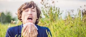 Hatschi! Ein Mann niest wegen einer Allergie auf Ambrosia.
