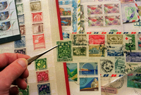 Eine Marke wird mit einer Pinzette aus einem Briefmarkenalbum gezogen.