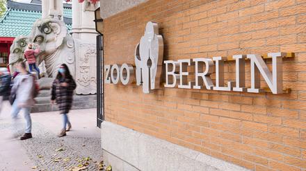 Im Berliner Zoo wurden unter anderem die Vorlauftemperaturen der Heizungsanlagen gesenkt.