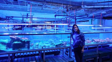 Meeresbiologin Alexandra Aponte in einer Korallenfarm