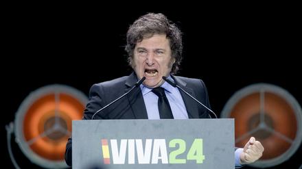 Javier Milei, Präsident von Argentinien, spricht während der „Viva 24“-Veranstaltung von Vox im Palacio de Vistalegre.