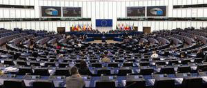 In der kommenden Woche tagt das Europaparlament in Straßburg.