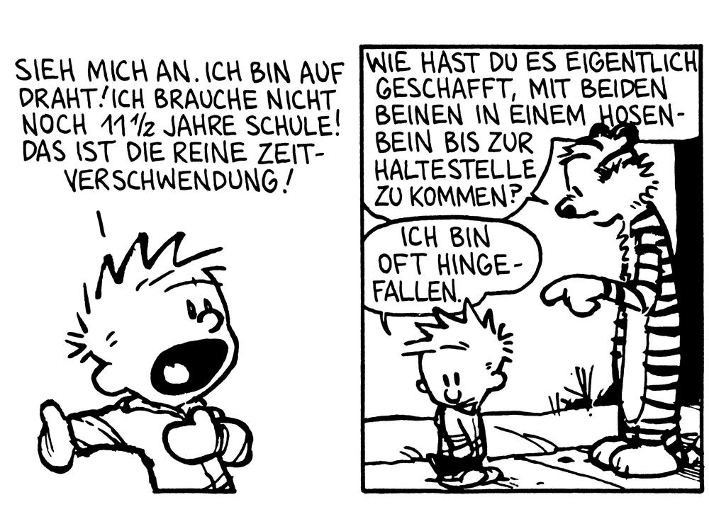 Calvin und Hobbes Freunde fürs Leben