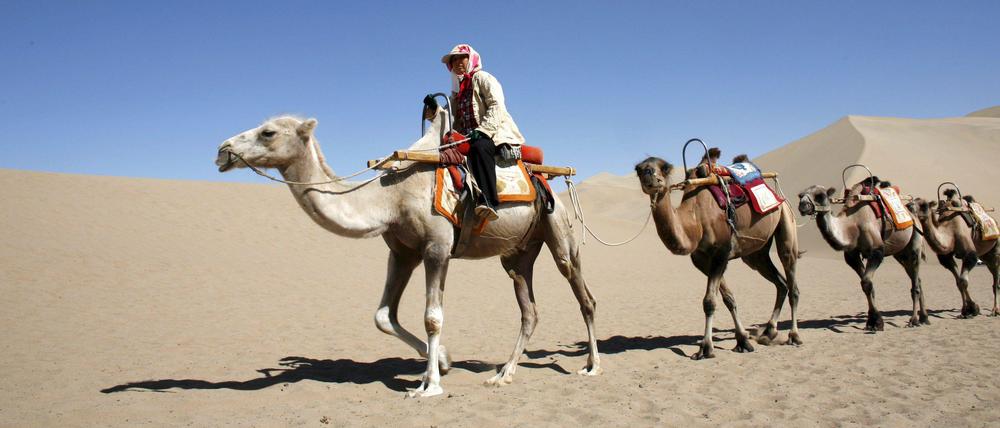 Unterwegs. Ein Tourist in der Wüste von Dunhuang in der nordchinesischen Provinz Gansu, nahe der historischen Kreuzung der Seidenstraße.