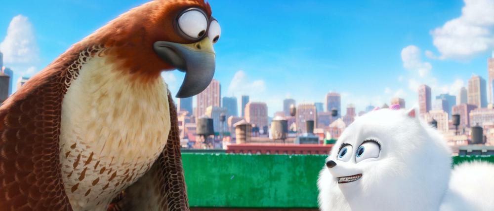 Die amerikanische Produktion "Pets" ist mit 26,5 Millionen Besuchern europaweit der erfolgreichste Film 2016. In Deutschland startete der Animationsfilm am 28. Juli 2016 