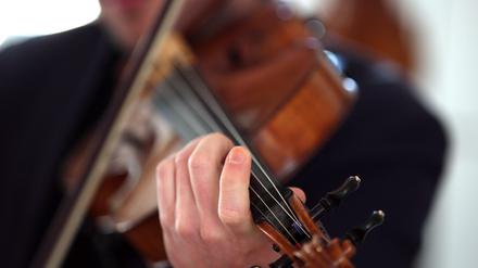 Klangliche Wärme: die Viola im Fokus