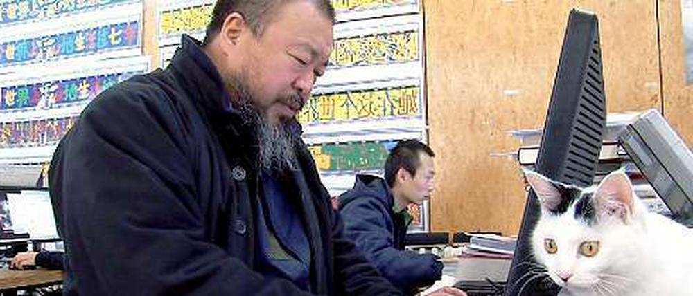 The twitter-star Ai Weiwei sits in front of his computer with a cat, as seen in the film "Ai Weiwei: Never Sorry.".