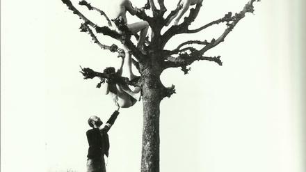 "Baumbesteigung" (1980) von Ralf-Rainer Wasse