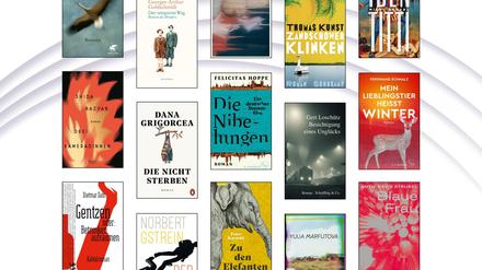 Die Cover der Bücher, die für die Longlist des Deutschen Buchpreis 2021 nominiert wurden.