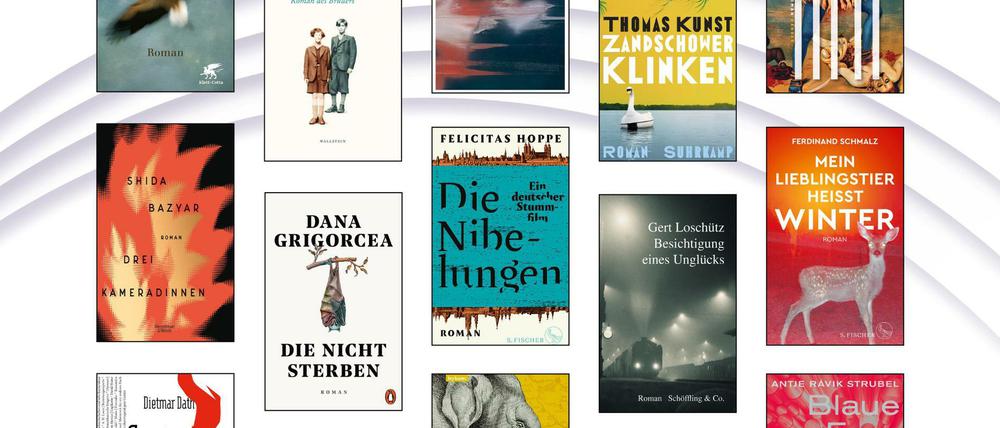 Die Cover der Bücher, die für die Longlist des Deutschen Buchpreis 2021 nominiert wurden.
