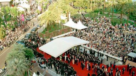 Roter Teppich unter Palmen: Heute Abend wird hier das 68. Filmfestival in Cannes eröffnet.