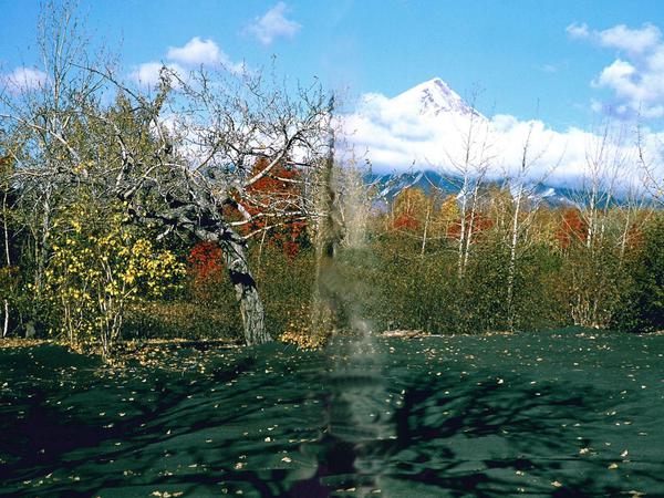Aschefeld. In ihrem Film "Chamissos Schatten" zeigt Ottinger auch die Vulkangebiete Kamtschatkas.