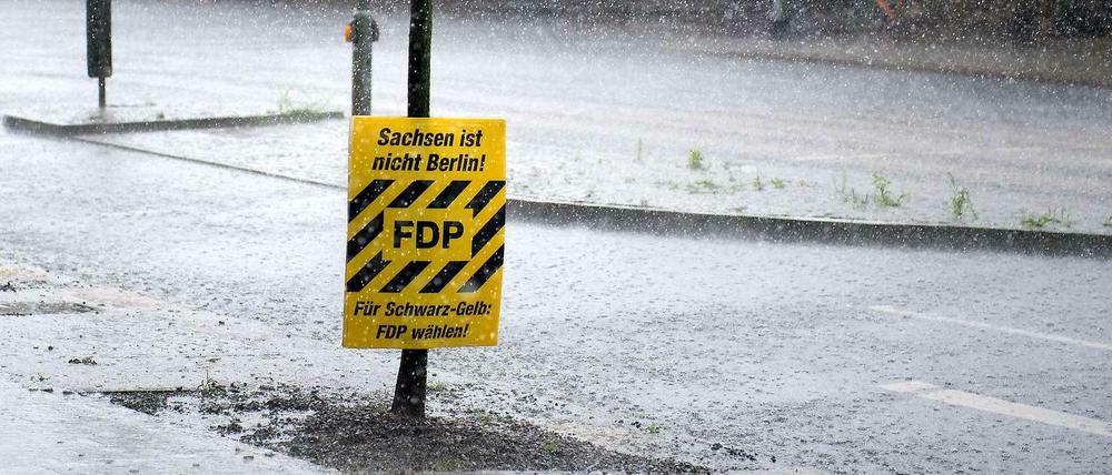 FDP-Plakat in Sachsen.