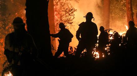 Menschgemachte Katastrophe. Feuerwehrleute bekämpfen Waldbrände in Kalifornien.
