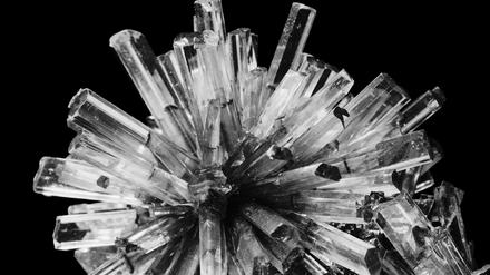 Diese Gips-Kristalle (Eisleben, vergrößert), hat Fred Koch vor Februar 1931 fotografiert. 