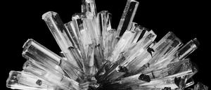 Diese Gips-Kristalle (Eisleben, vergrößert), hat Fred Koch vor Februar 1931 fotografiert. 