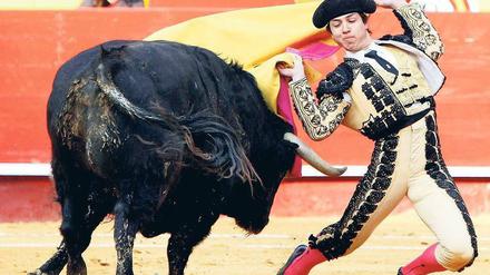 Tanz um das Tier. Zwei Dritteln der Spanier ist der Stierkampf egal. Hier eine Szene aus der Arena von Valencia im März.
