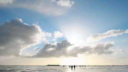 Am Fischgrund für Metaphern. Der britische Wolkenforscher Pretor-Pinney beobachtet neuerdings die Meeresoberfläche. Foto: dpa
