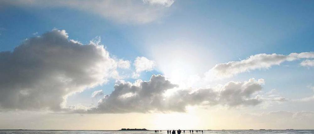 Am Fischgrund für Metaphern. Der britische Wolkenforscher Pretor-Pinney beobachtet neuerdings die Meeresoberfläche. Foto: dpa