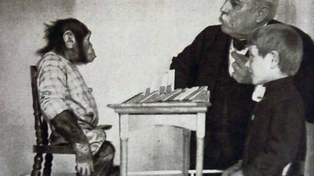 Auf Augenhöhe. Richard Lynch Garner mit Schimpansin „Susie“ um 1911. Der Exzentriker und Rassist wollte den Sprachcode der Primaten knacken – und beweisen, dass es auch unter den Menschen verschiedene Spezies gibt.