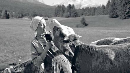 Muh! Uschi liebt ihre Kühe und die Stille auf der Alm. Trotzdem weiß die gestandene Bäuerin in Matti Bauers Doku „Still“ um die Brüchigkeit der Idylle. 