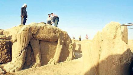 Ob die Skulptur eines geflügelten Stiers in Nimrud, die hier von Arbeitern im Jahr 2001 präsentiert wird, jetzt den Zerstörungen zum Opfer fiel, ist ungewiss.