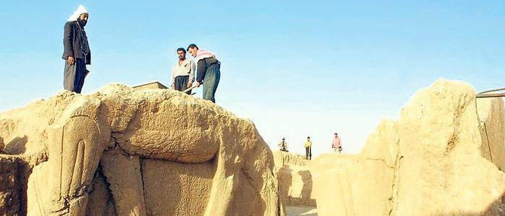 Ob die Skulptur eines geflügelten Stiers in Nimrud, die hier von Arbeitern im Jahr 2001 präsentiert wird, jetzt den Zerstörungen zum Opfer fiel, ist ungewiss.